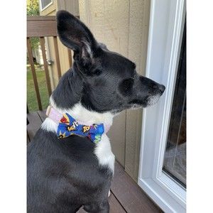 Dog bow tie